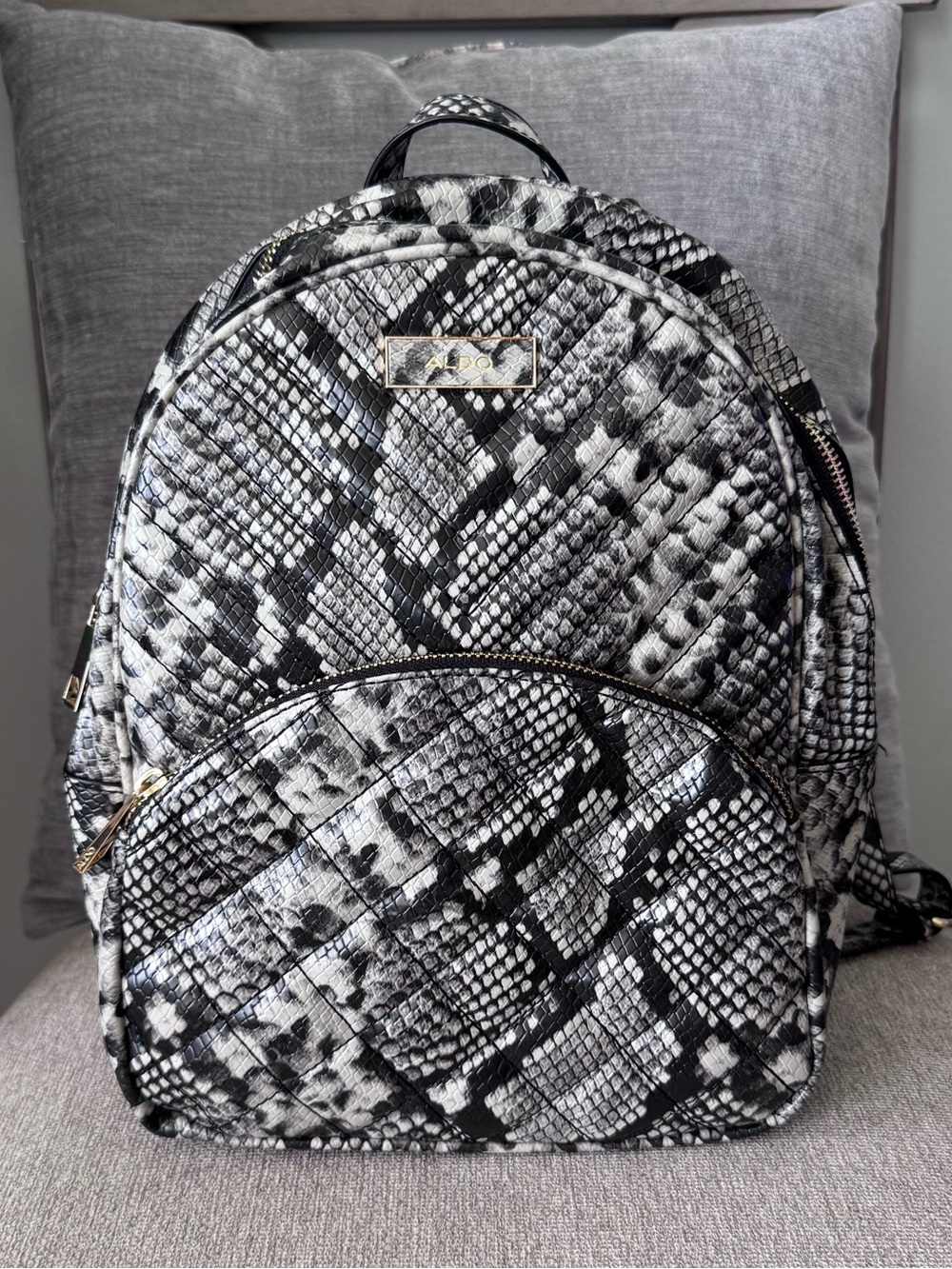 Aldo Mini Backpack